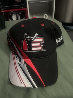 Vintage Dale Earnhardt Hat