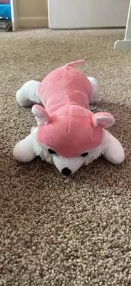 Wolf stuff friend