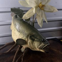 Largemouth Bass Taxidermy