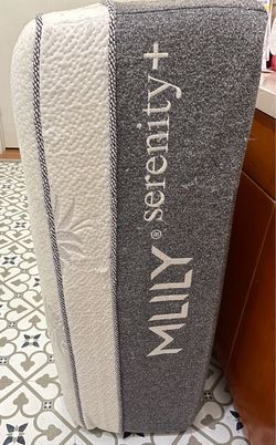 $1 Dos colchones Twin XL y 2 box spring twin xl