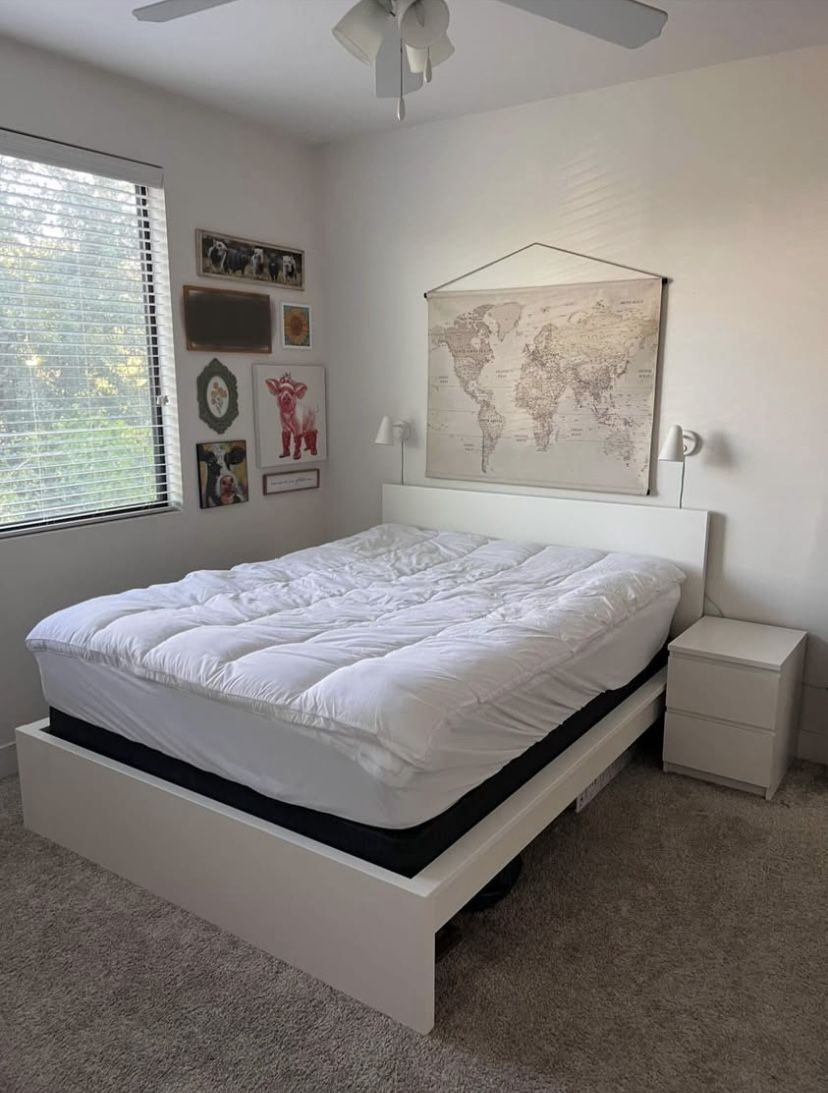 Sleek Queen Bedframe 