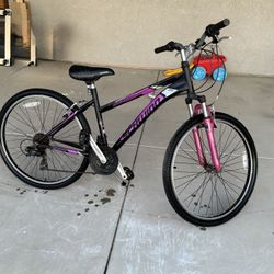 schwinn Mountain Bike 