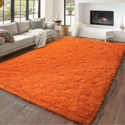6x9 Ft Soft Burnt Orange Non-Slip Shaggy Area Rug, Large Plush Fluffy Carpet - Retail $60