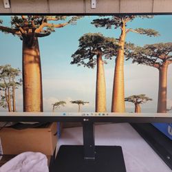 LG 34" UltraWide Monitor 34BN670-B 