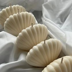 Shell Candles M and S🐚