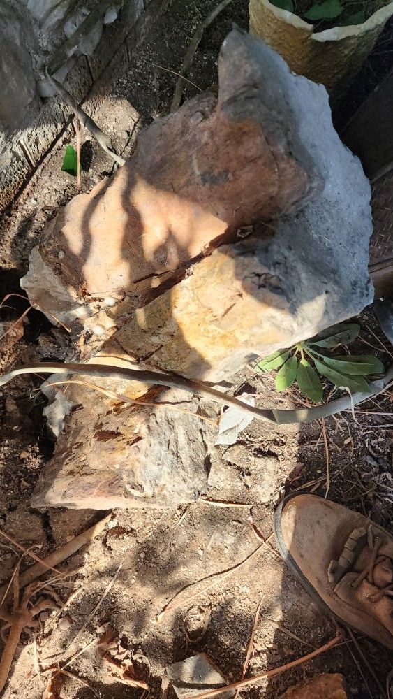 Petrified Tree Stump