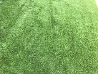 Brand new turf must go