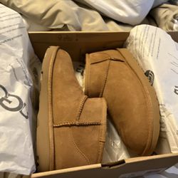 Uggs New 