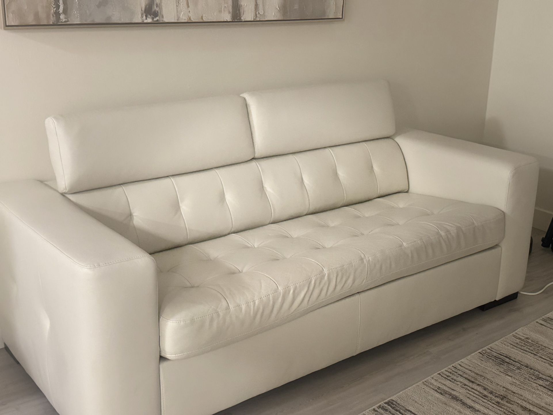 Leather Couch Pull Out 