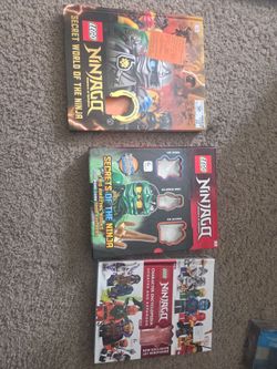 lego books