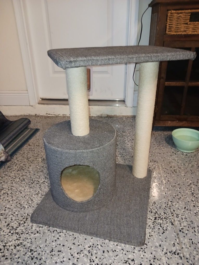 Cat Scratch Post and Stand