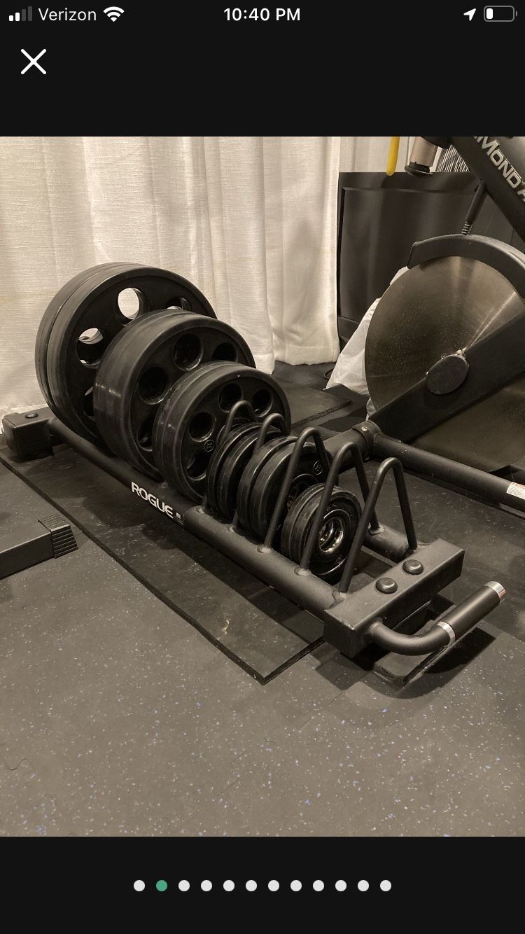 Rogue Competition Bumper Cart Plate Storage