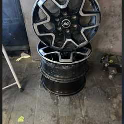 Bronco rims