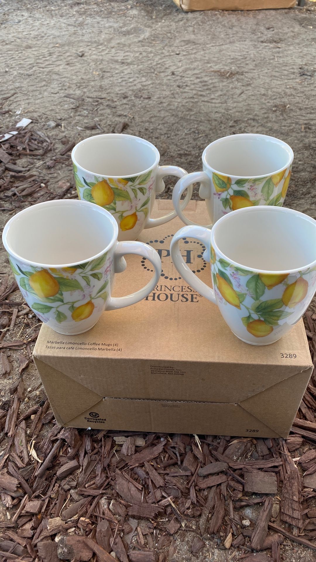 π·π·π·tazas Limoncello Marbella Princess house πΉπΉπΉ