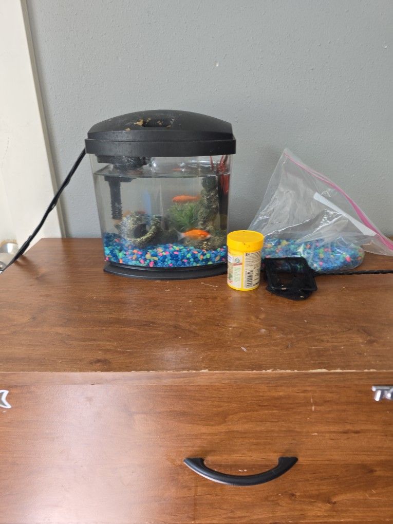 3 Goldfish with Fishtank.