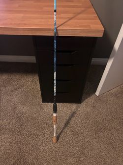 Profishency Spinning Rod