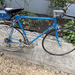 Speed Bicycle 