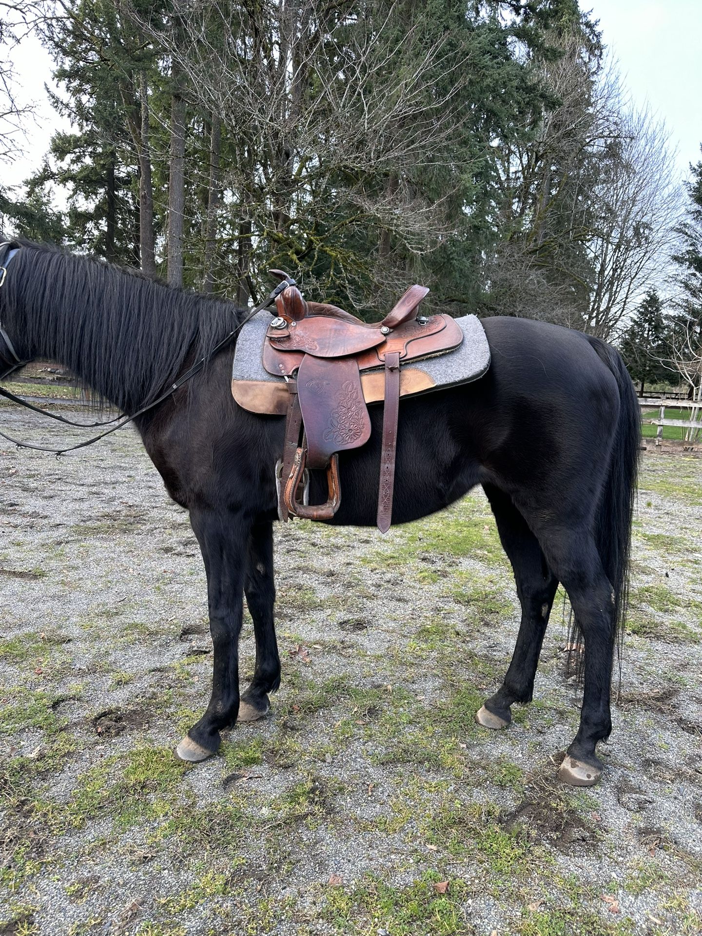 Deep Seat Western Saddle