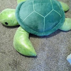 Giant Green Turtle 