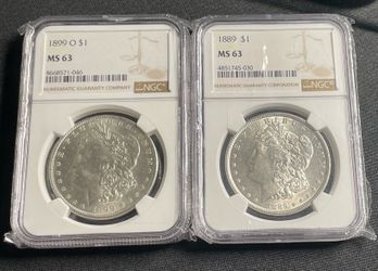 Morgan Dollars NGC Graded