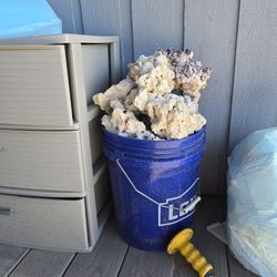 5 Gallon Bucket Of Saltwater Marco Rock 