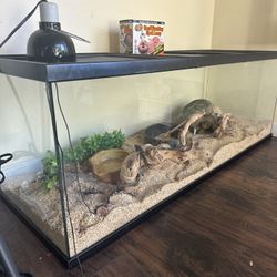 Snake Tank Reptile Enclosure