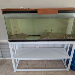 55 Gallon Fish Tank