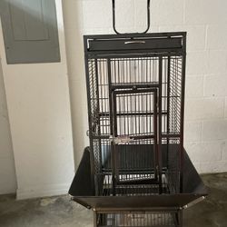 Bird Cage 