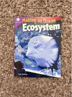 Making an Ecosystem by Lisa Holewa