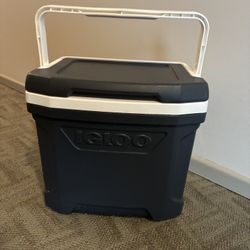 Igloo Medium Cooler