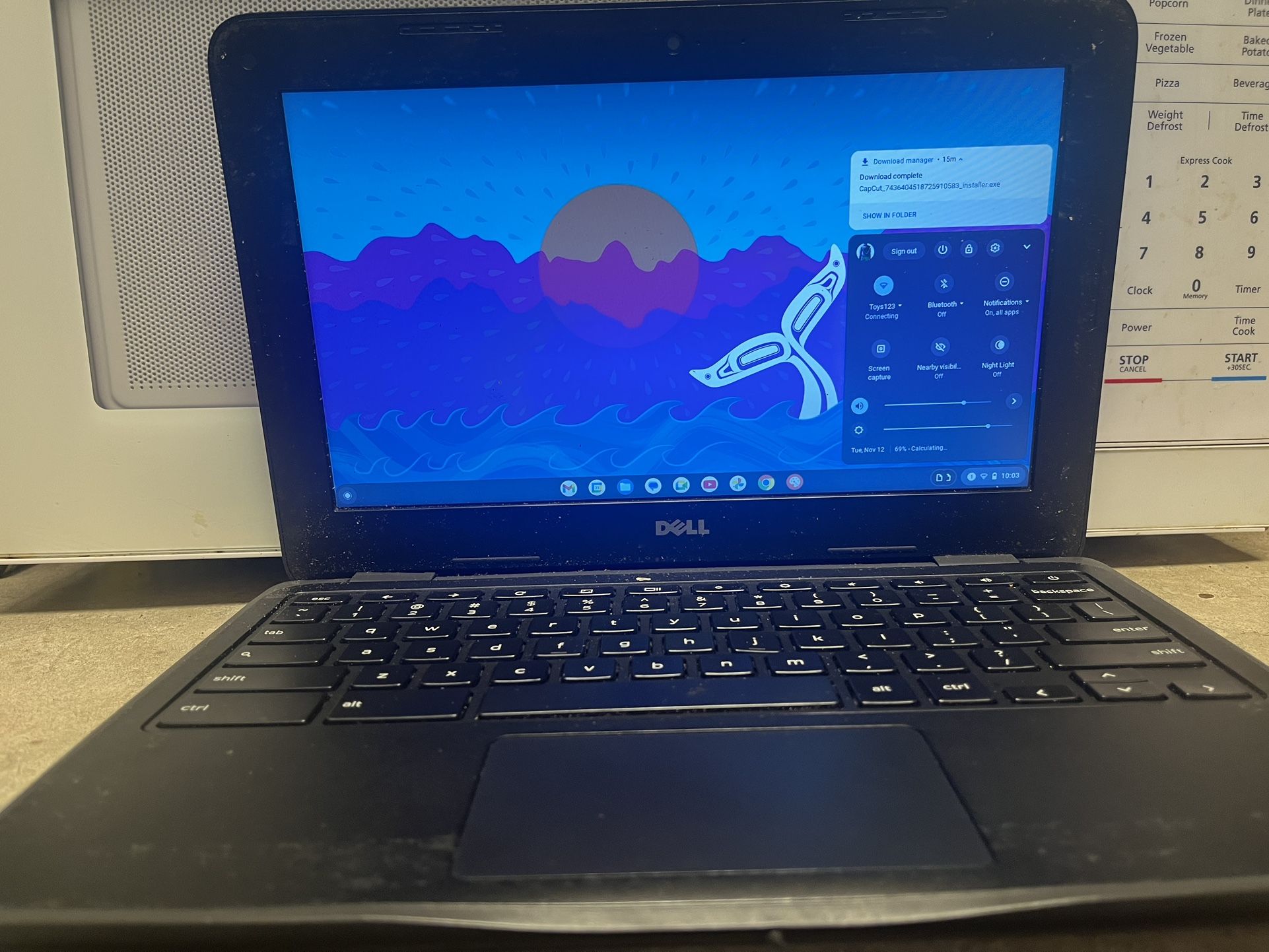 Dell Laptop