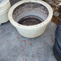 Pot Plant For Shrub Tree Or Plant