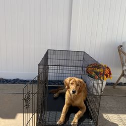 Dog kennel / dog crate