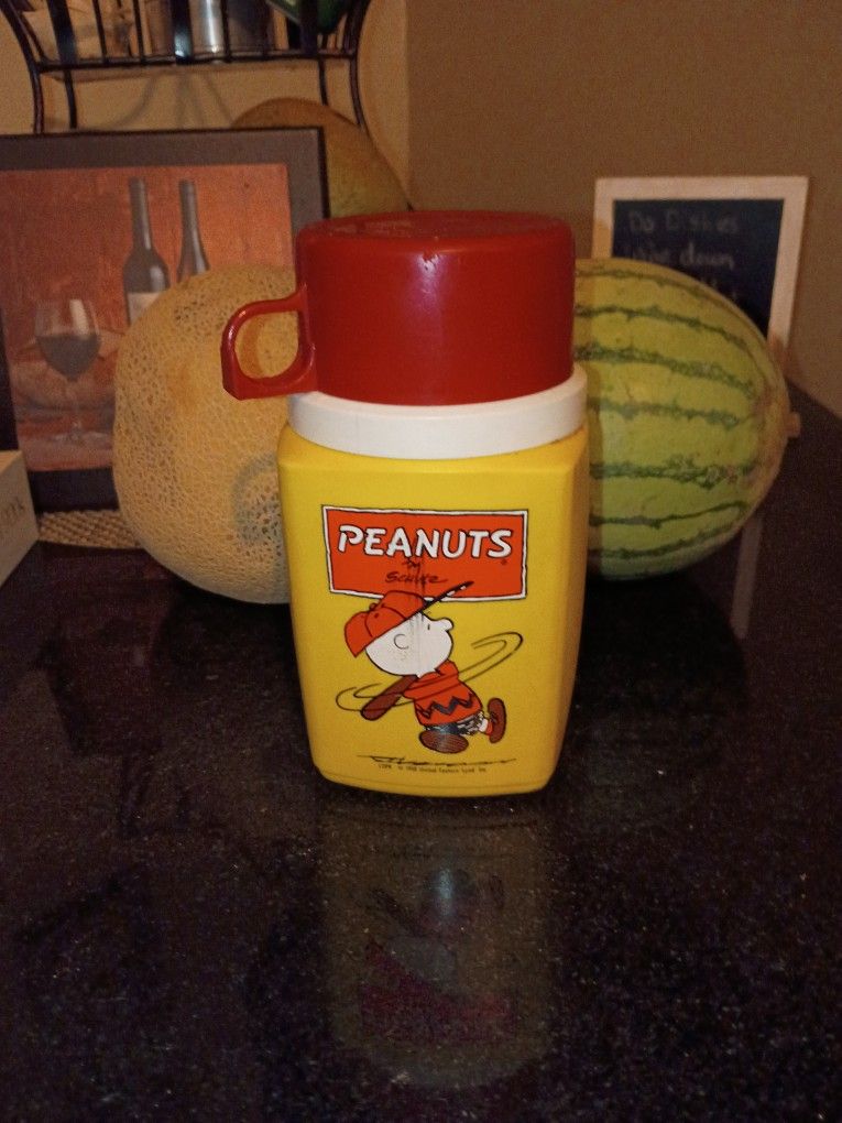Peanuts-Charlie Brown Thermos