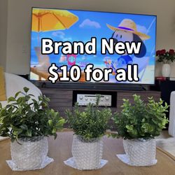 Set of 3 Faux Potted Plants – $10 for All