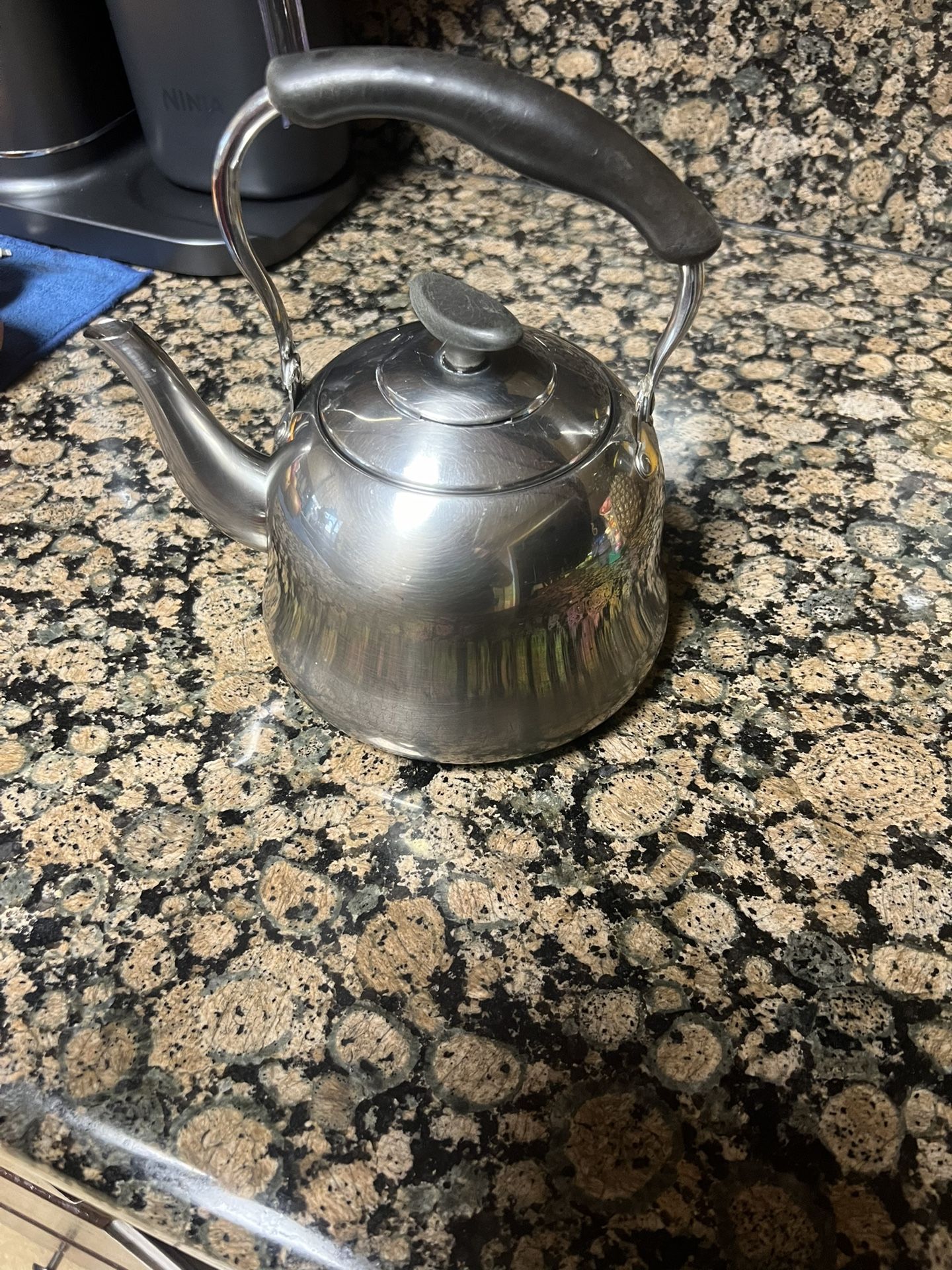 Stainless Steel Kettle