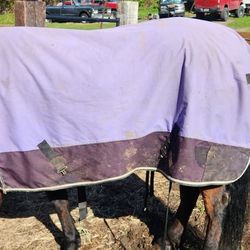 Horse Blankets, READ DESCRIPTION $15 NOT FOR ALL!!