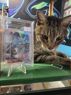 Pete Alonso Beckett 9.5 