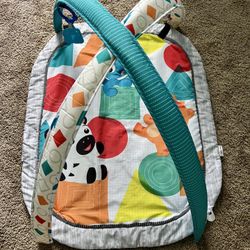 Baby Einstein Play Gym 