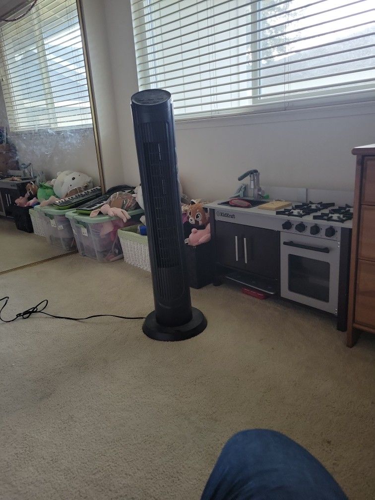 2 Omnibreeze Tower Fans