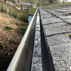 Gutter Cleaning/Roof Clean 