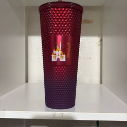 Starbucks Disney Tumbler