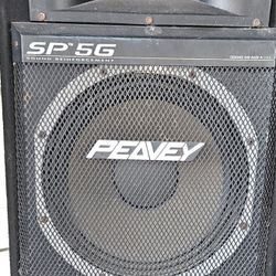 PEAVEY SP5G Speakers