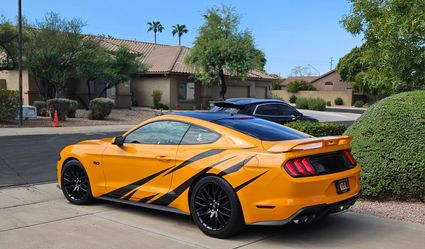 2019 Mustang GT Premium PP1