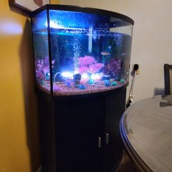 Fish Tank 36