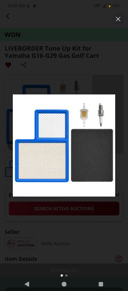 Yamaha golf cart tune-up kit.