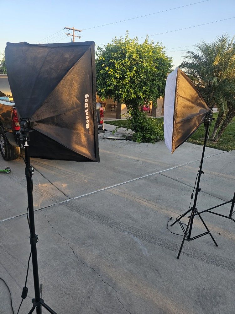 Mount Dog Lighting To Take Photos