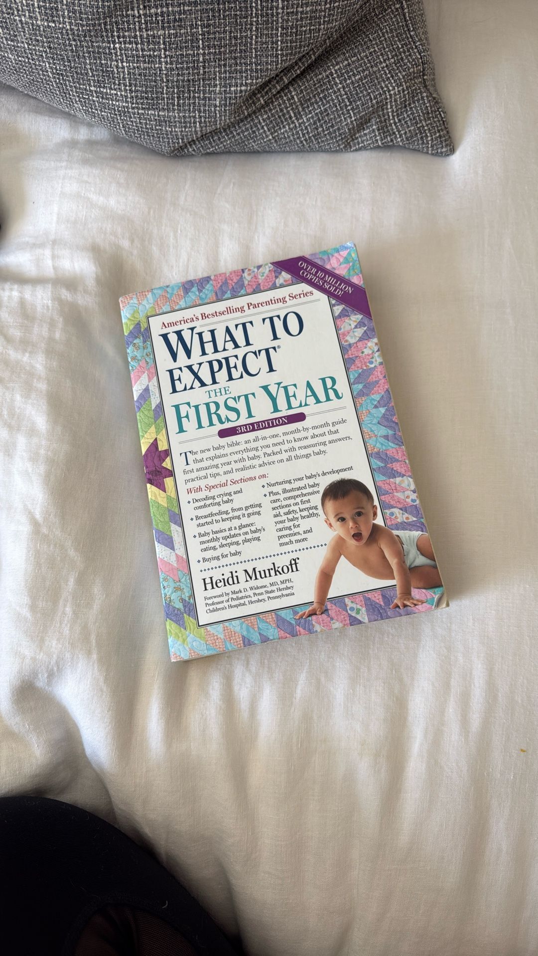 What To Expect The First Year Book