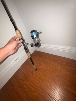 Quantum Strive 2500 on a Penn Battalion Rod