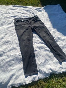 True religion pants
